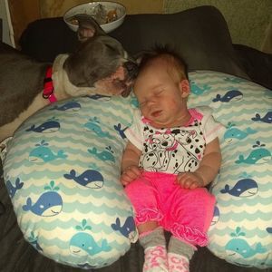 Meet your Posher, Josh